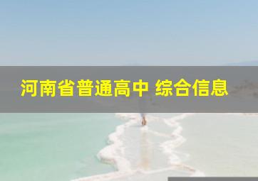 河南省普通高中 综合信息